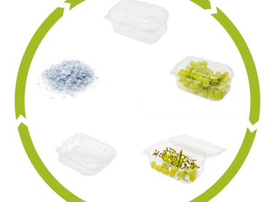 Closing the Plastic (Packaging) Chain in the Netherlands